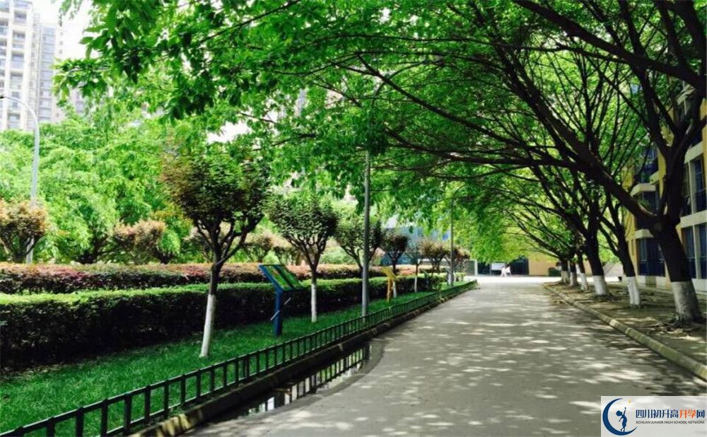 成都七中實(shí)驗(yàn)學(xué)校2020年開學(xué)時(shí)間安排是怎樣的？