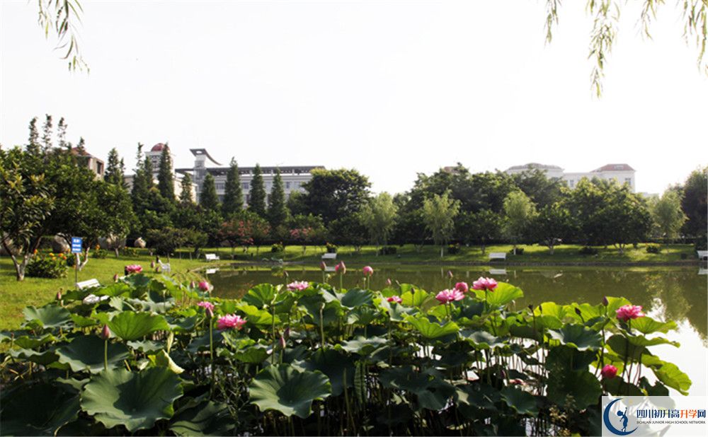 四川師范大學(xué)附屬中學(xué)今年的錄取條件是否有變化？