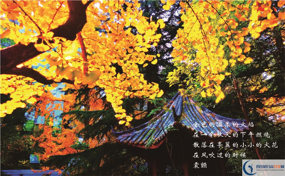 成都七中初三課程資源在哪里看？