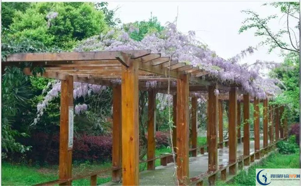 廣安花橋中學(xué)高三診斷考試時間怎么安排？