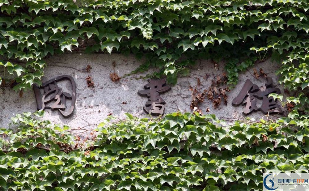 乘風(fēng)外國(guó)語(yǔ)實(shí)驗(yàn)中學(xué)今年的學(xué)費(fèi)怎么收取，是否有變化？