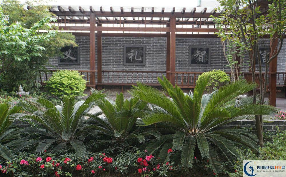 成都八中招生簡章是什么？