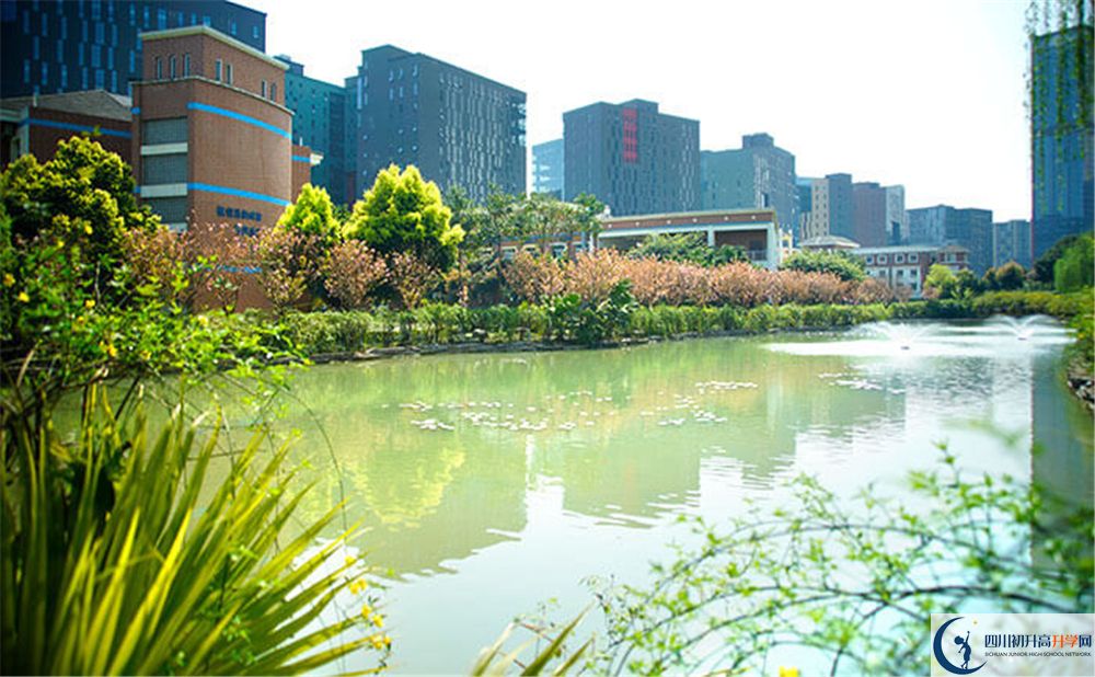 成都美視國際2020年怎么報(bào)名？
