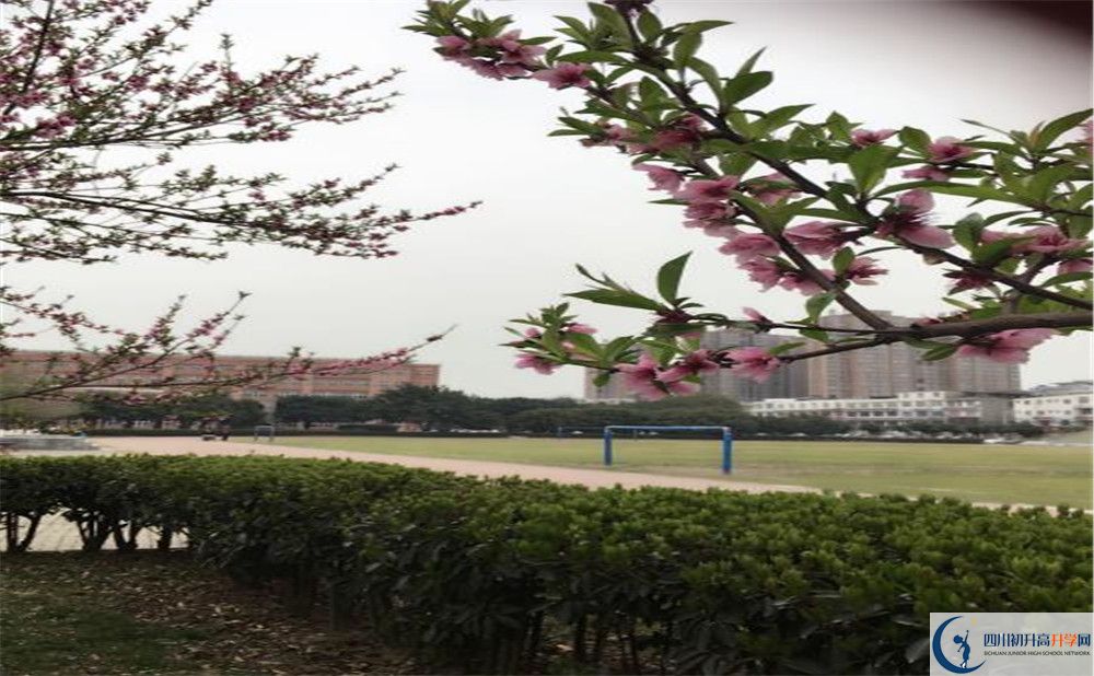 2020年樹德博瑞實驗學校學費是多少？