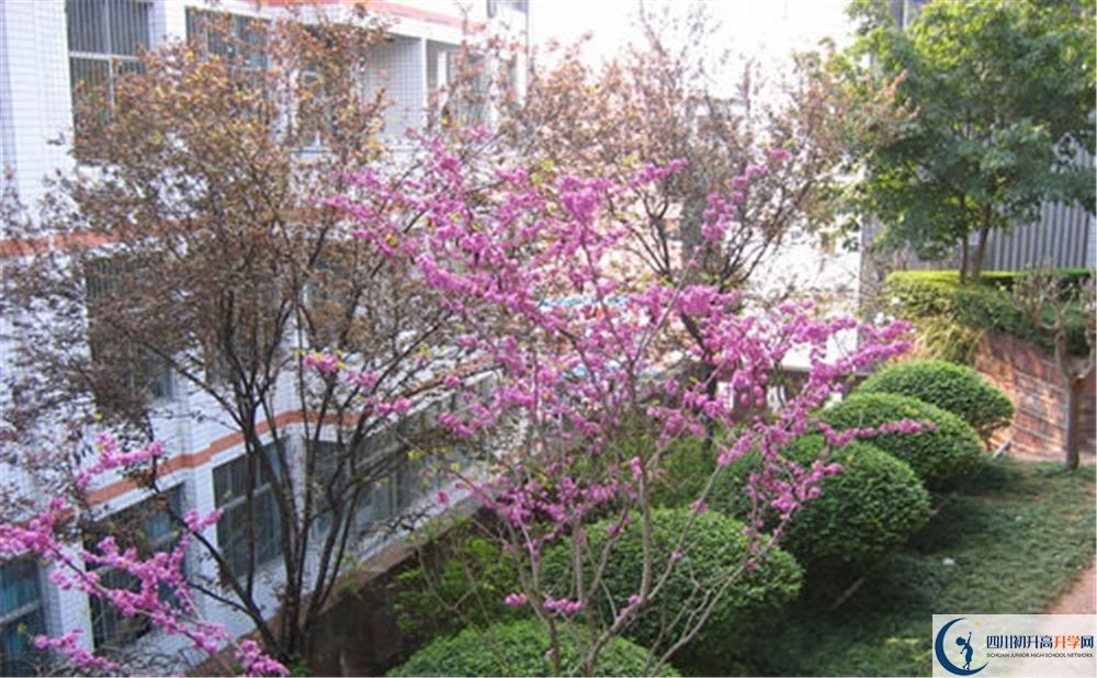 簡(jiǎn)陽三星中學(xué)2020年分?jǐn)?shù)線是多少分？