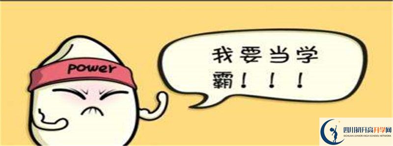 北二外成都附中2021清華北大錄取學(xué)生多少？